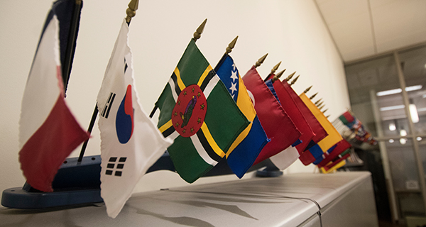 World  mini flags lined up on a shelf